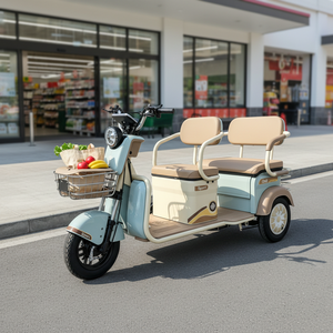 Factory Direct L2e Certified 3-Seater Electric Tricycle, 3-Wheel Mobility Scooter for Elderly Commuting & Daily Use, EU Market