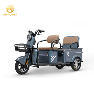 800W Electric Tricycle 2 Passengers Mobility Scooter 3 Wheel Electric Vehicle for Senior Daily Use