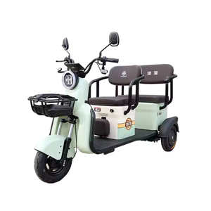 Factory Direct 3-Wheel Electric Scooter for Adults Open-Body Leisure Tricycle at an Price