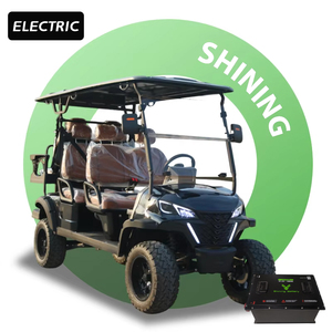 Independent Suspension 6 Passenger Electric Sightseeing Golf Cart Utility Vehicle Road Legal Buggy