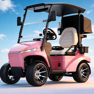 Bulk Single Seat Electric Buggy OEM Mini 4-wheel Electric Vehicle Professional Golf Cart Bulk Supply Quick Charge Electric Cart